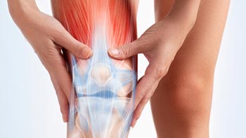 Meniscus جراحة العظام والمفاصل في ايران | افضل دكتور وتكلفة | سنا مدتور 13