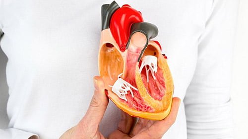 تحويل مجرى الشريان التاجي في ايران | افضل دكتور وتكلفة | سنا مدتور 1