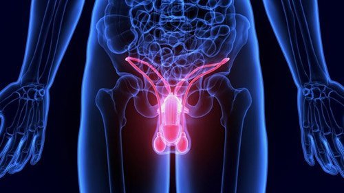 تكبير القضيب في ايران : كيف اجعل قضيبي اكبر ؟! 1