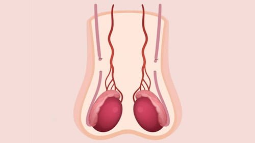 الجراحة العامة في ايران | أفضل جراحين ونتائج و أسعار | سنا مدتور 5