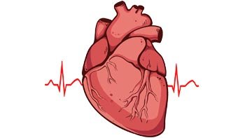 aortic-surgery عملية القلب في ايران لدى أشهر الجراحين بأنسب الأسعار | سنا مدتور 7