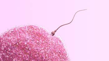 علاج العقم في ايران بأفضل نسب نجاح ومراكز وتكلفة | سنا مدتور 9