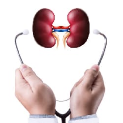13 علامة تدل على احتمال الإصابة بمرض الكلية 1 13 علامة تدل على احتمال الإصابة بمرض الكلية