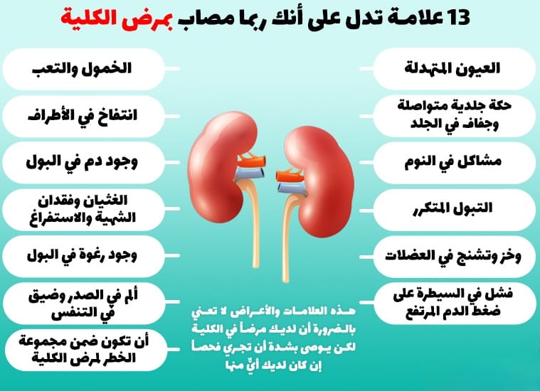 13 علامة تدل على احتمال الإصابة بمرض الكلية 2 13 علامة تدل على احتمال الإصابة بمرض الكلية 2
