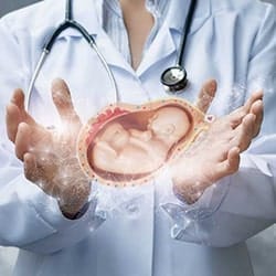 كيف أستعد لدورة أطفال الأنابيب: ما هي الفحوصات اللازمة؟ 2 كيف أستعد لدورة أطفال الأنابيب: ما هي الفحوصات اللازمة؟