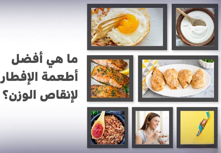 الفطور الصحي لإنقاص الوزن 3 الفطور الصحي لإنقاص الوزن 3